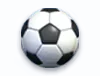 the thao icon